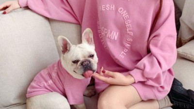 놓치면 후회! 애견개플룩 득템 후기 & 꿀팁 대방출🐶✨